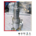 Boiler NPT / RF Pressure Safety Relief Valve (250mm WCB/CF8/304)